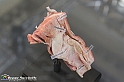 VBS_2654 - Laringe - Mostra Body Worlds